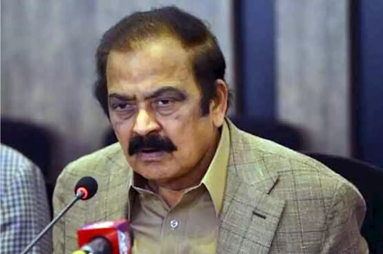 صدر مملکت اپنی اوقات اور آئینی دائرہ میں رہیں، عمران کی کٹھ پتلی نہ بنیں، رانا ثنا