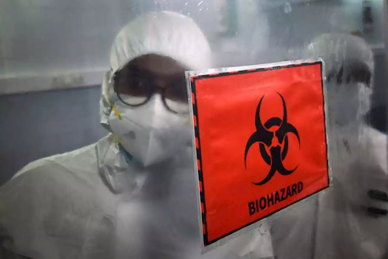 Brotes del virus de Marburgo en Guinea Ecuatorial y Tanzania empiezan a inquietar