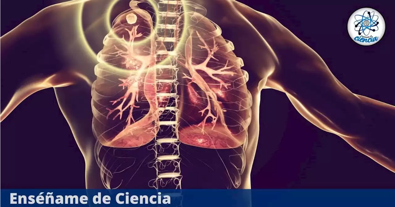 Secretaría de Salud reporta más de 28, 000 casos de TUBERCULOSIS en México, una cifra preocupante