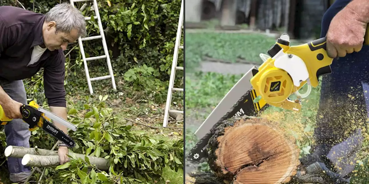 Mit dieser Kettensäge machen Sie Ihren Garten im Handumdrehen frühlingsfit