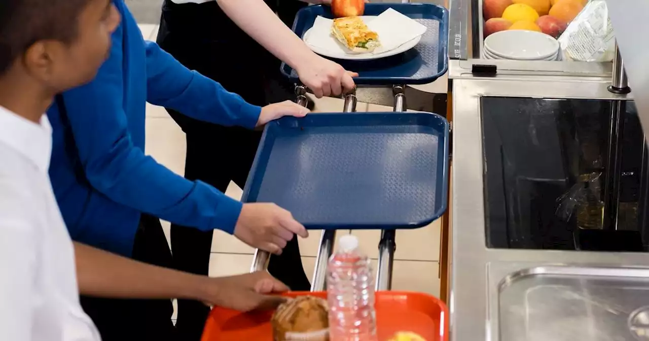 Glasgow school meal debt write off would be 'significant step forward'