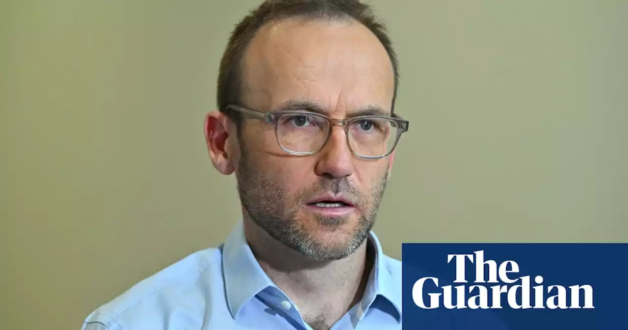 NSW election: Adam Bandt confident resignation of Lidia Thorpe will not affect outcome for Greens