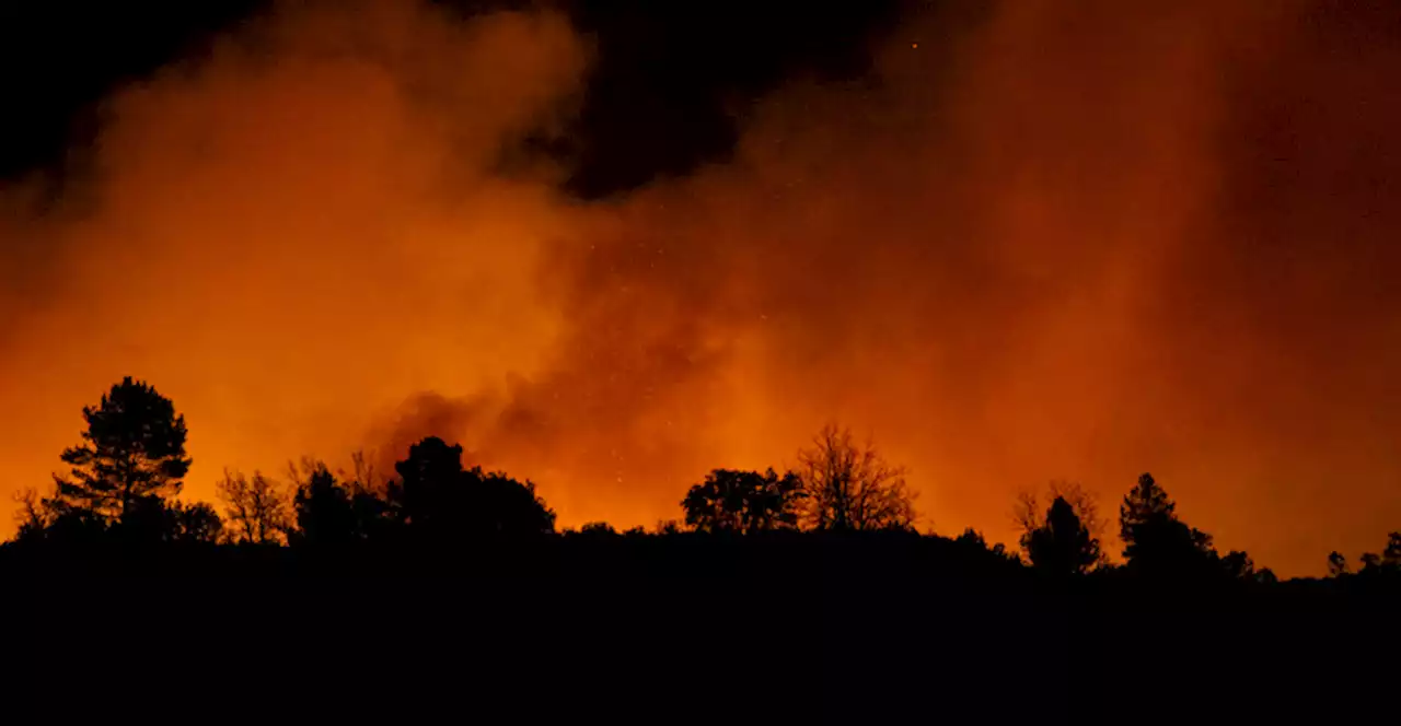 Circa 1.500 persone sono state evacuate a causa di un grande incendio boschivo vicino a Valencia, in Spagna - Il Post