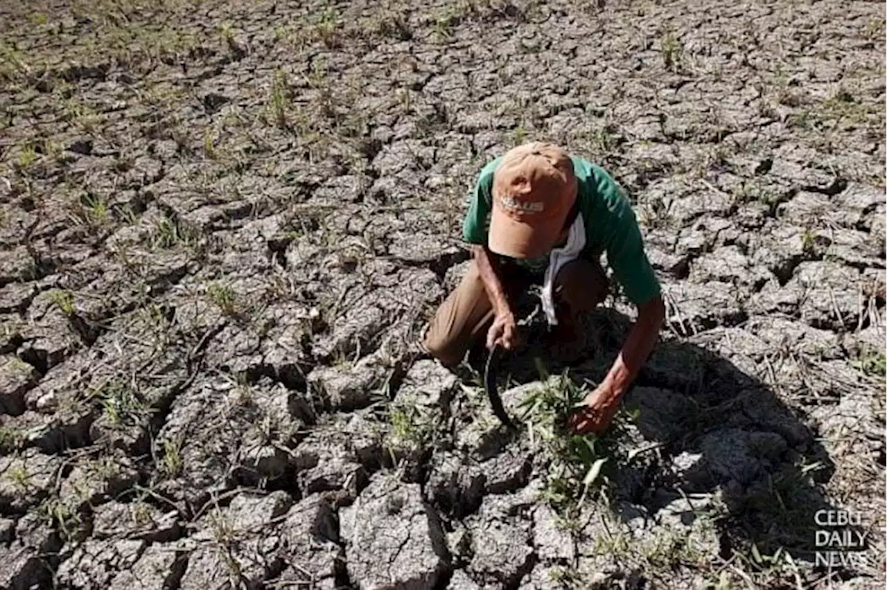 Pagasa issues El Niño Watch; urges public to prepare for warm, dry season