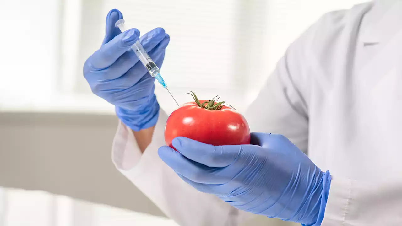 England legalizes commercial development of gene-edited food