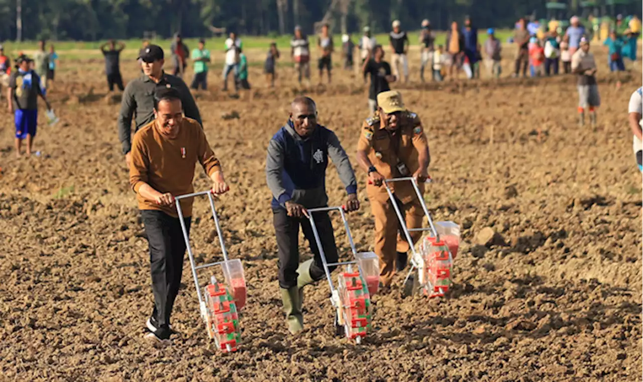 Sejarah, Presiden Jokowi Kunjungi Kabupaten Keerom