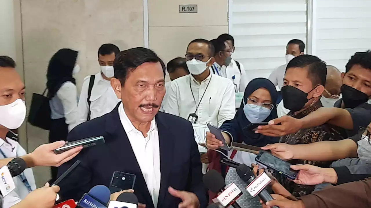 Luhut Binsar Bertemu Petinggi Negara Korsel, Bahas Apa?