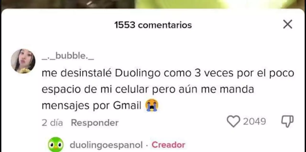 'Razón no le falta': la tajante respuesta de Duolingo a una usuaria de TikTok que ha triunfado en las redes