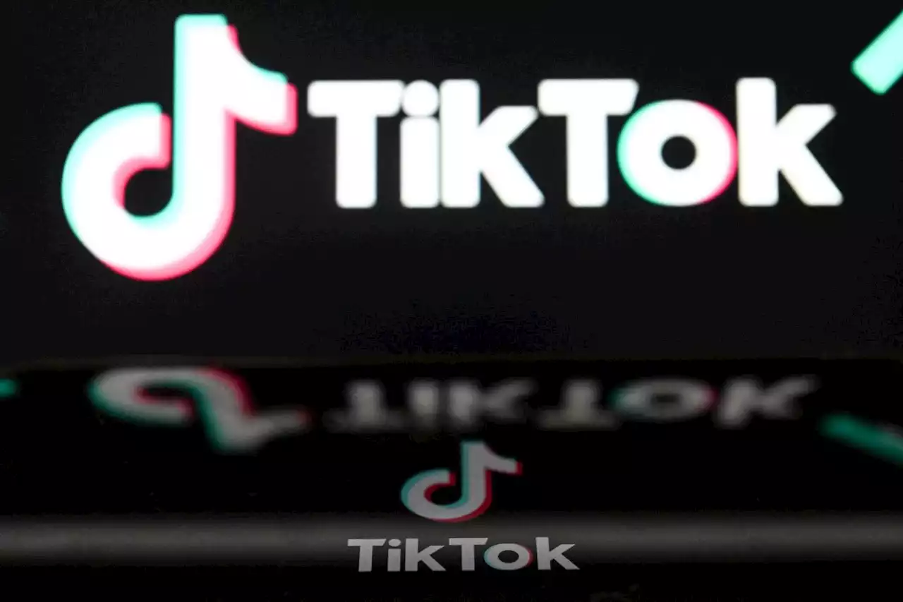 TikTok : la France interdit les applications « récréatives » sur les téléphones des fonctionnaires