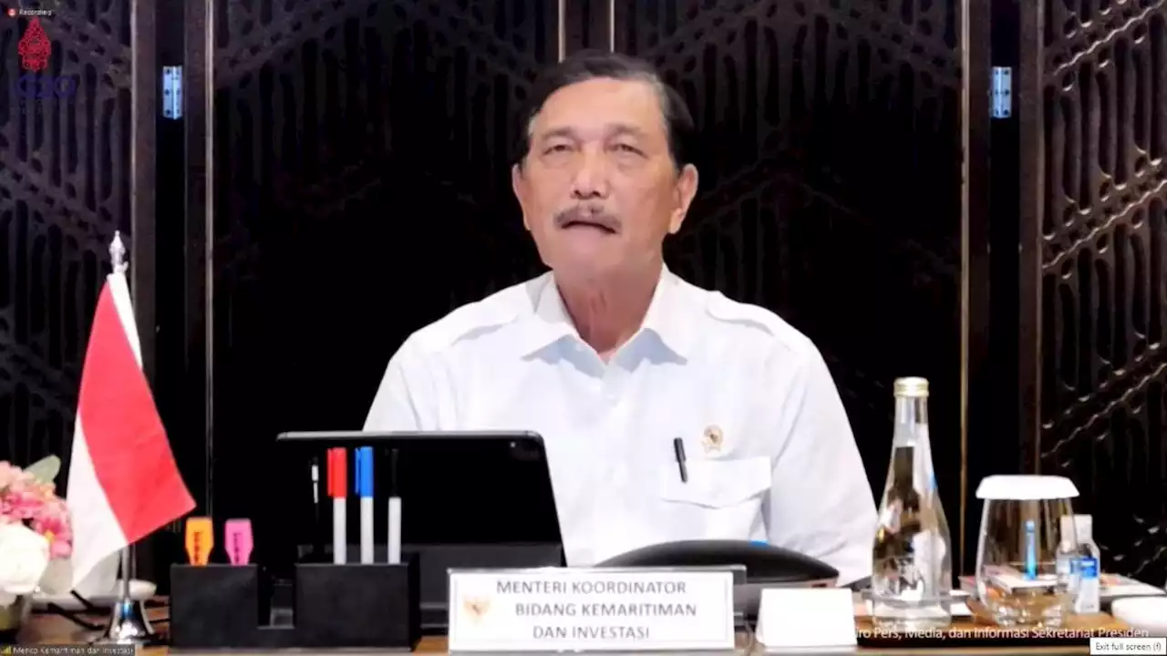 Ketemu Menkeu Korsel, Luhut Minta Visa on Arrival bagi Turis Indonesia