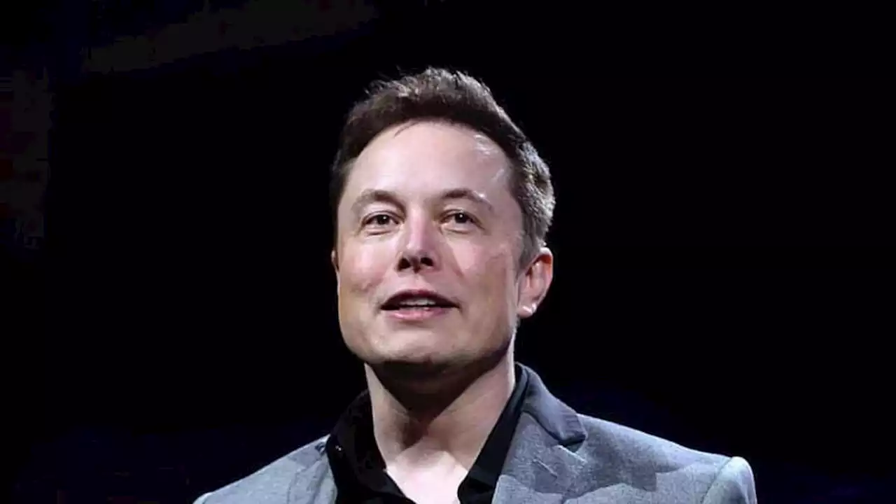 Viral Elon Musk Pancing Keributan dengan Bos WHO, Gegara Apa Sih?