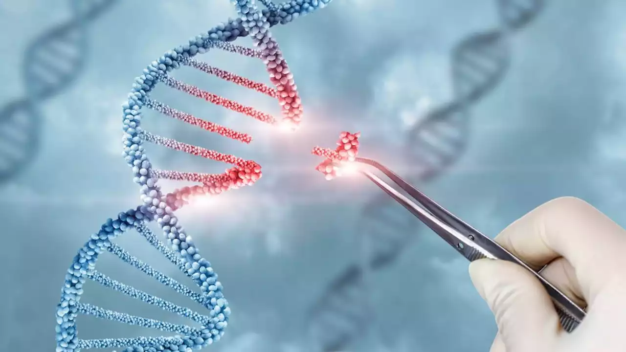 Gene therapy: Everything you need to know about the DNA-tweaking treatments