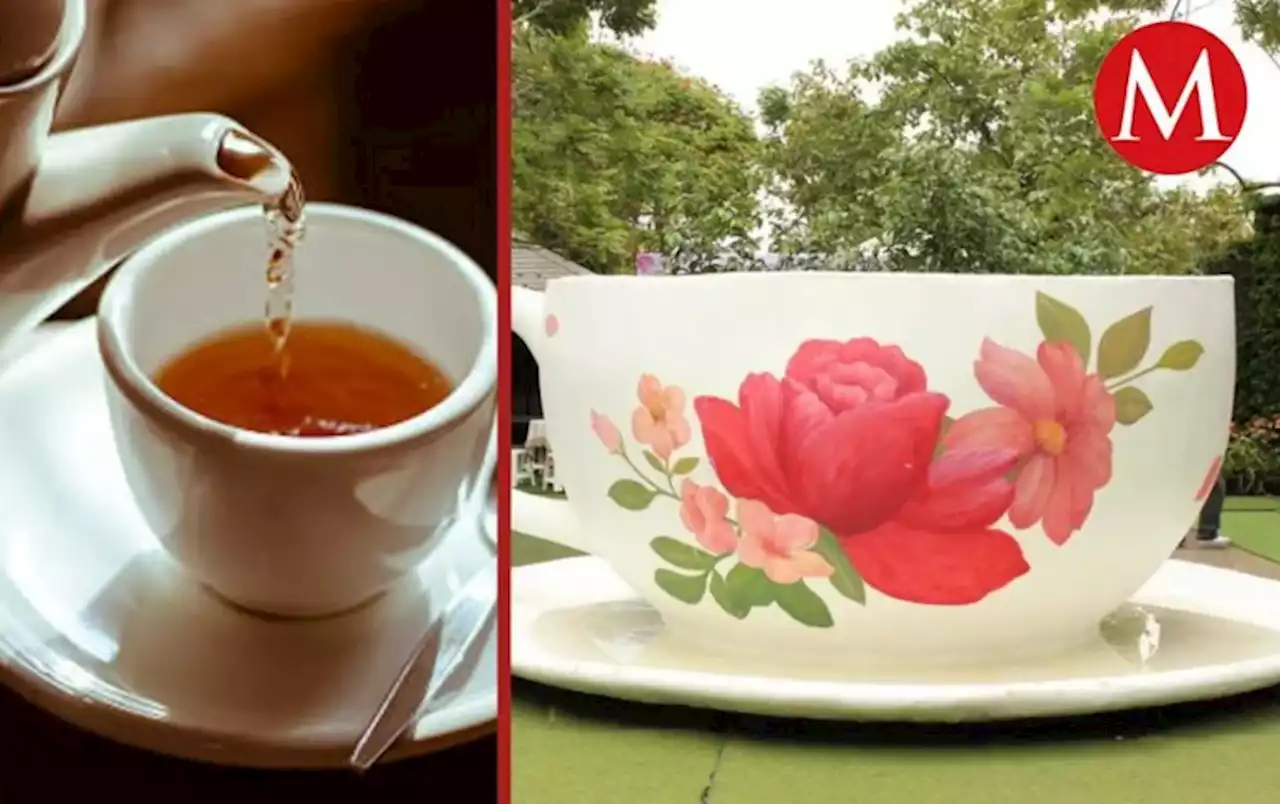 Guanajuato va-por Récords Guinnes; la-taza de-té más grande del mundo