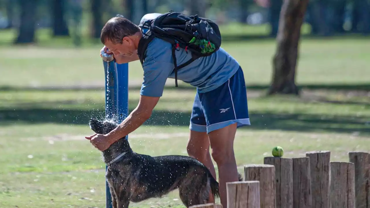 Vuelve el calor y los 30 grados en Buenos Aires: desde cuándo