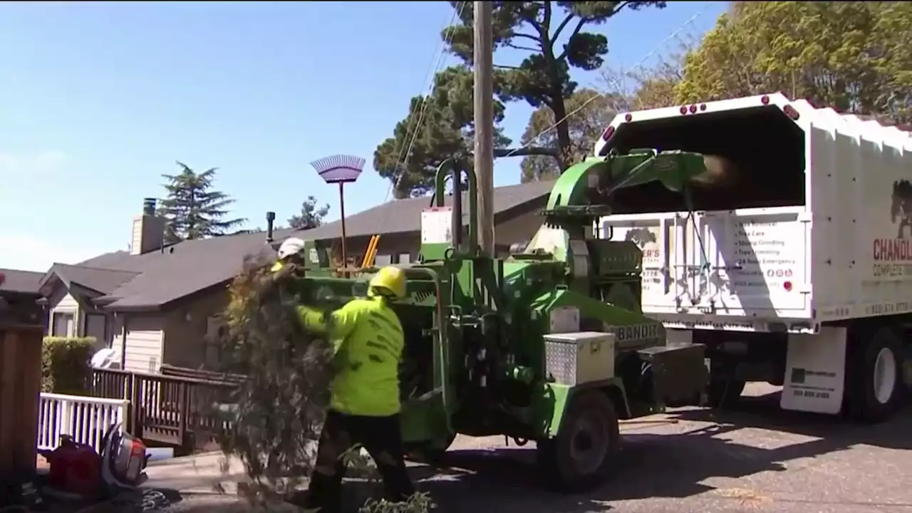 East Bay Crews Continue to Clean Up After the Recent Storm