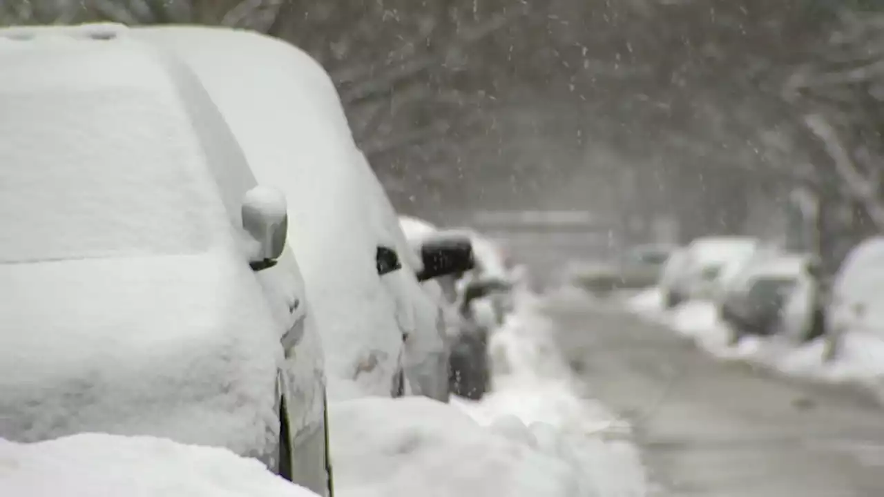 Parts of Chicago Area Under Winter Storm Warning This Weekend With Potential for Several Inches of Snow