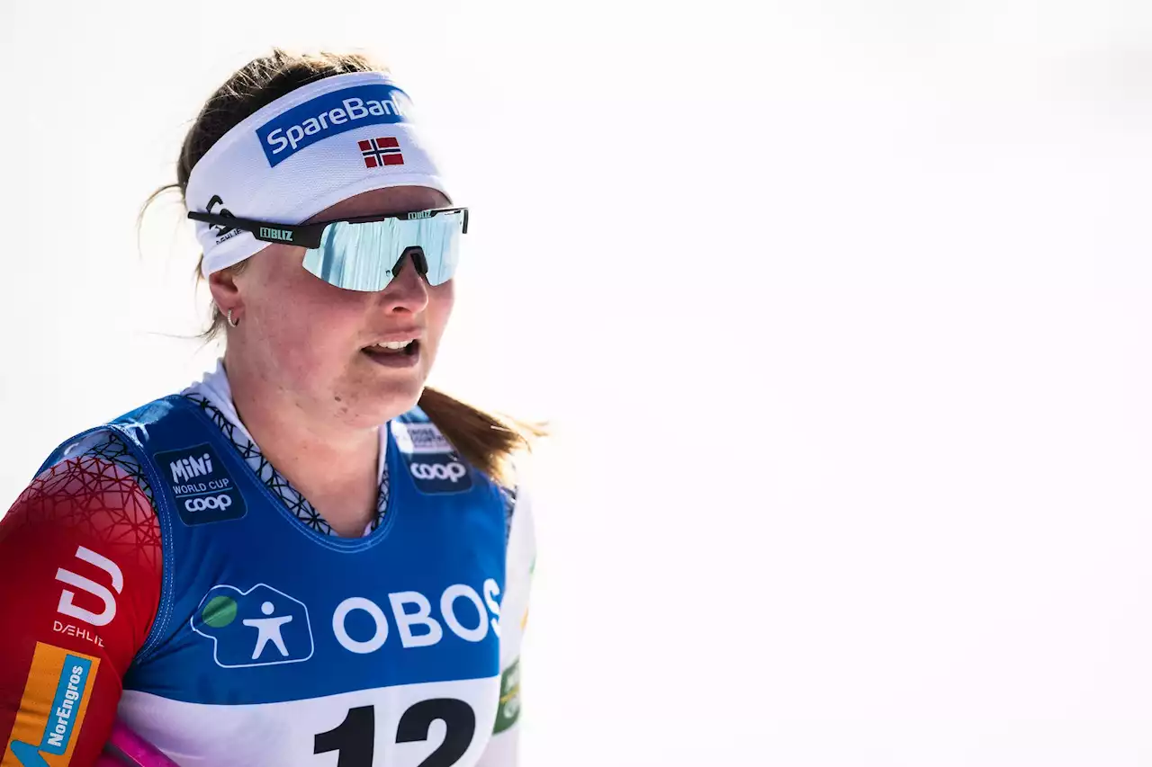 Norsk kjempeskrell: – Knockout