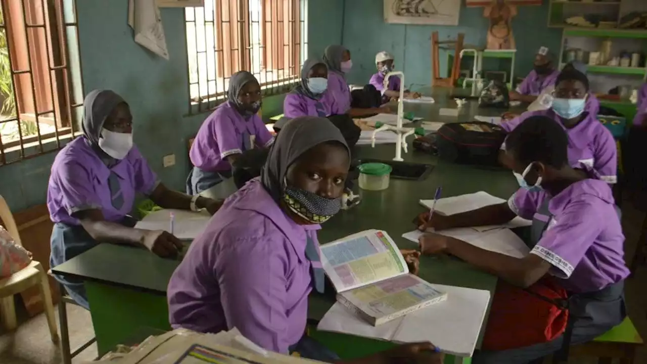 School fees a headache for families in sub-Saharan African countries - World Bank report | News24