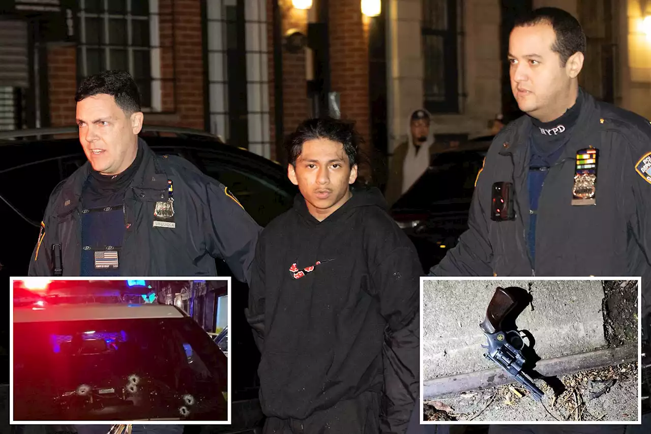 Police shoot at armed suspect who was menacing brother with gun in East Village