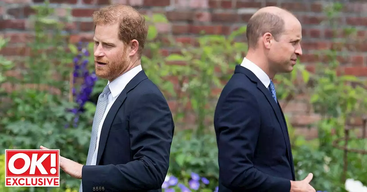 Harry's book 'was a mistake' that has 'worsened relationship' with William