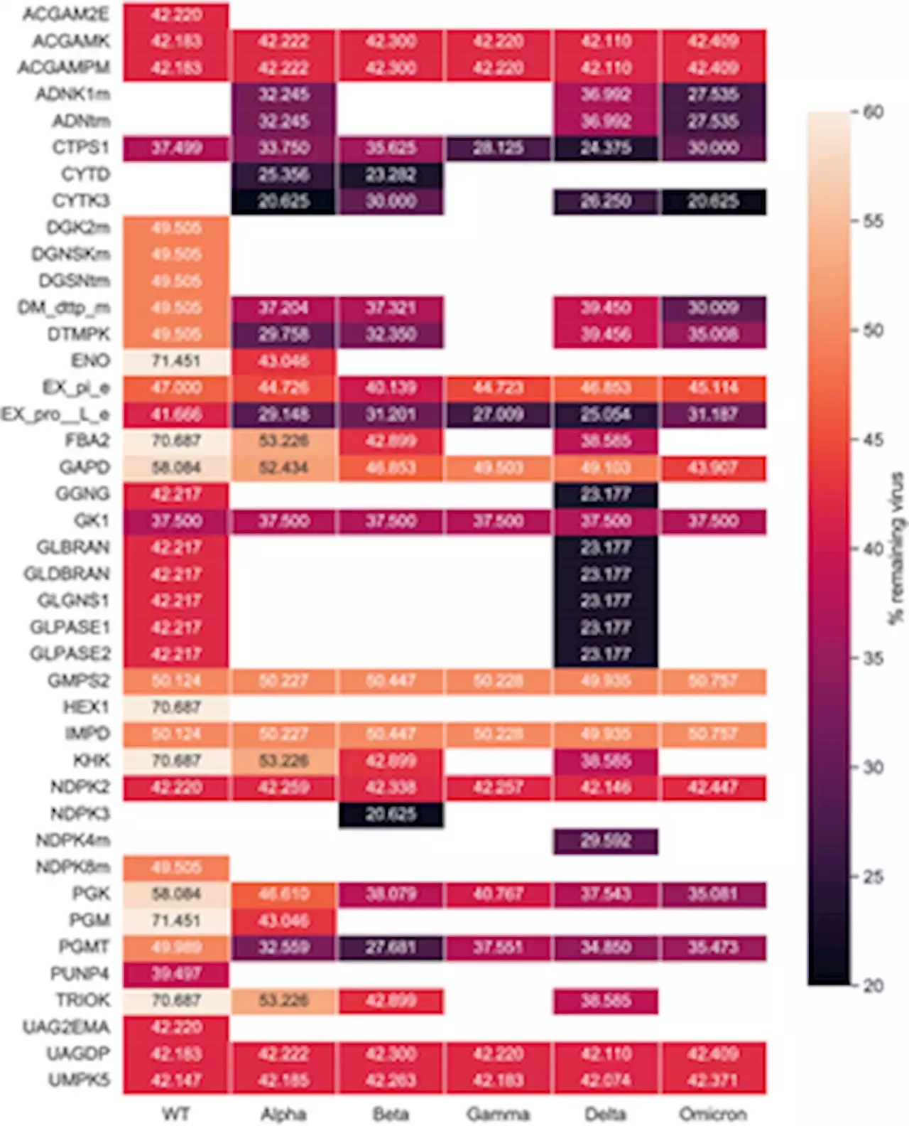 New workflow predicts drug targets against SARS-CoV-2 via metabolic changes in infected cells