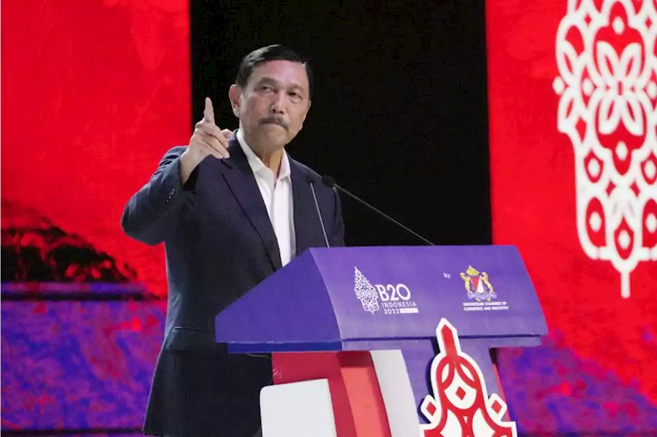 Luhut Minta Keringanan Visa untuk WNI ke Korea Selatan |Republika Online