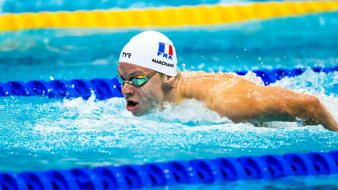 Natation: le phénomène Léon Marchand s'offre un nouveau record lors des finales NCAA