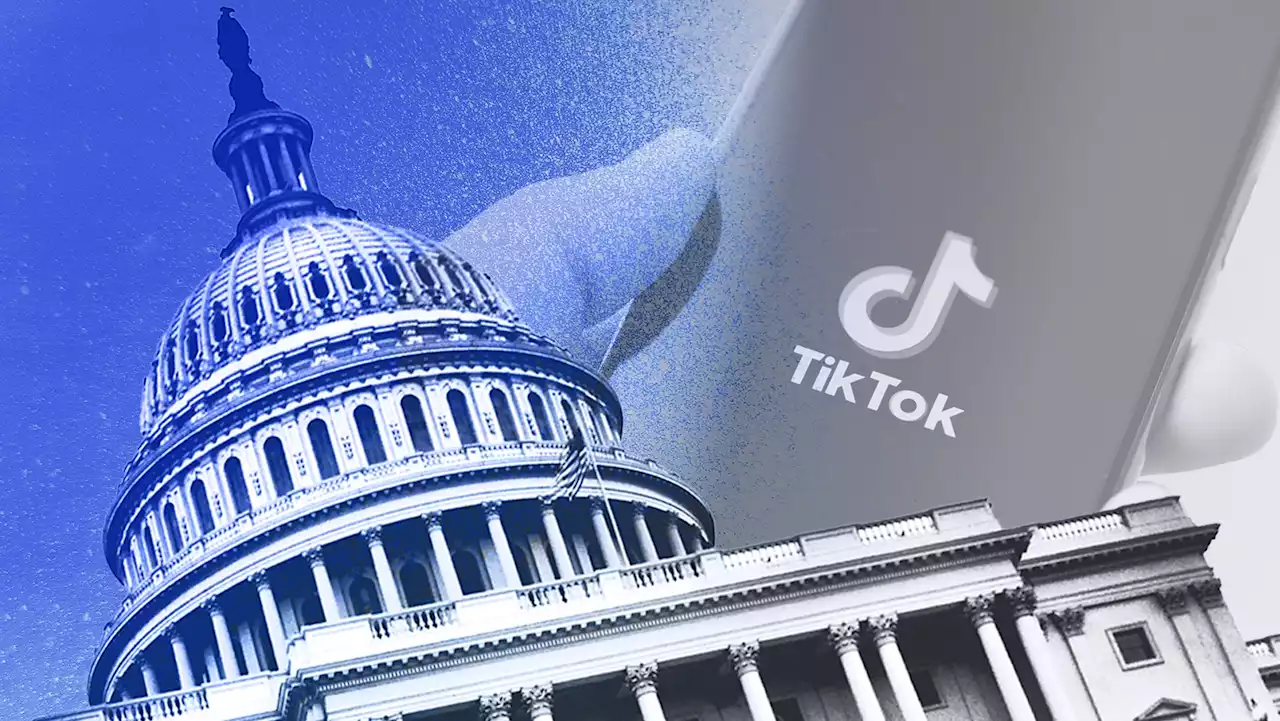 Congress Really,|em| |/em|Really Doesn't Like TikTok