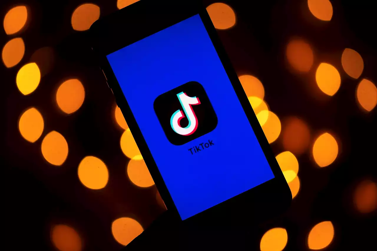 La France bannit TikTok des smartphones de ses fonctionnaires