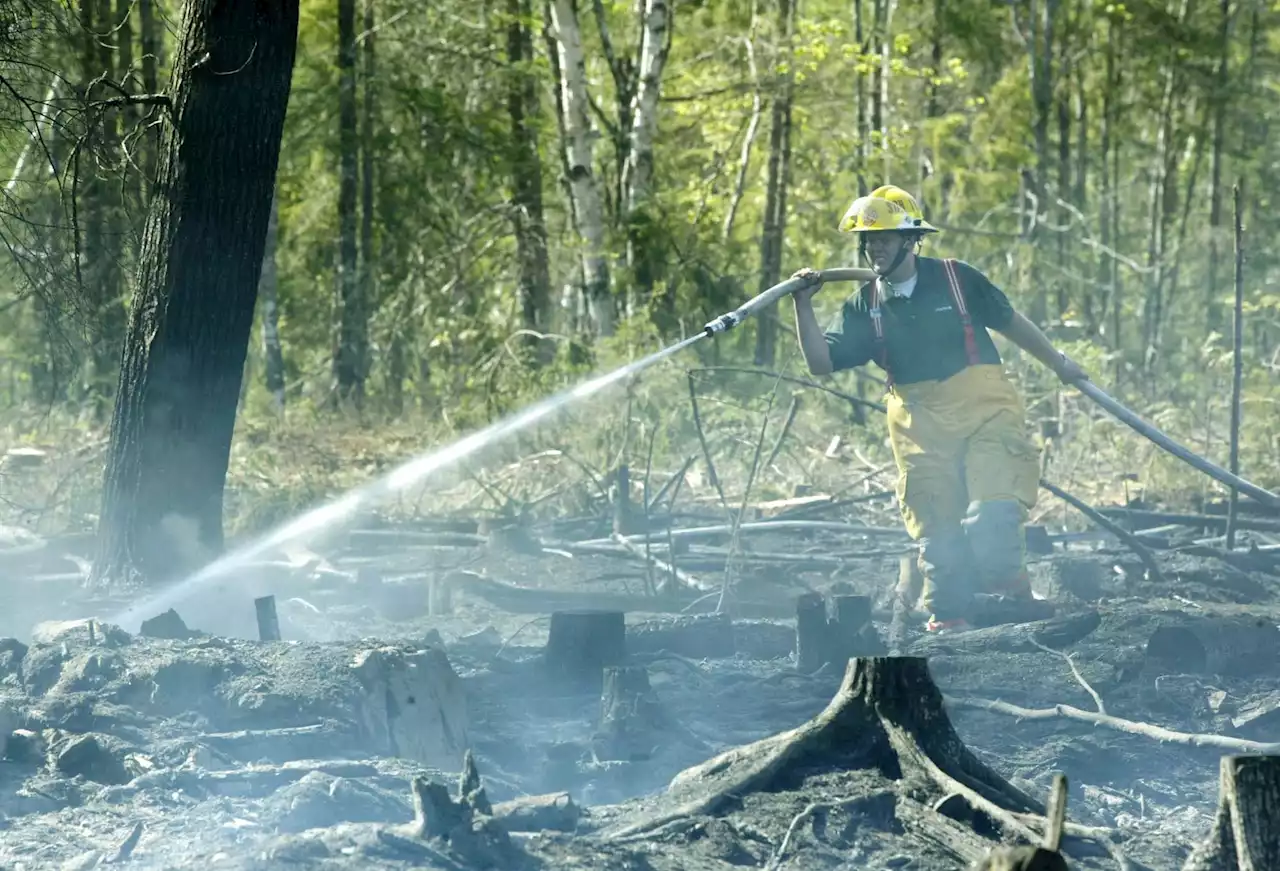 18-hectare blaze breaks out one week into Nova Scotia wildfire season | SaltWire