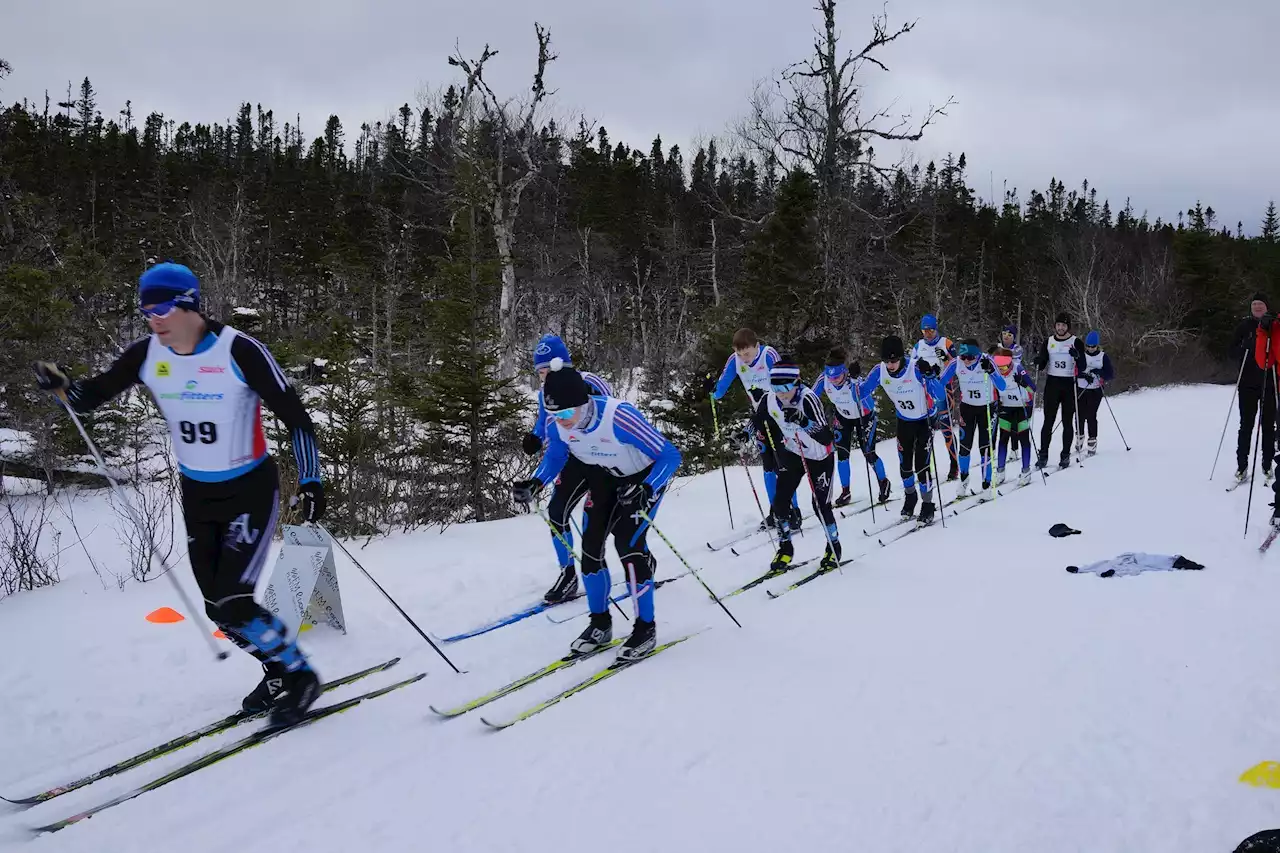 LETTER: Cross-country skiers and snowshoers dismayed to hear Butter Pot Park plowed early | SaltWire