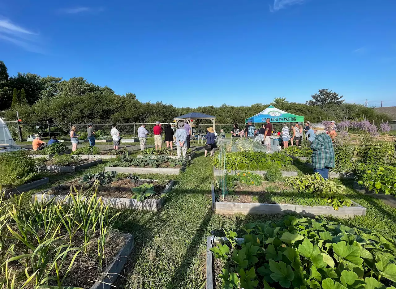 Time to get growing: Digby Community Garden partnering with Digby Elementary on new program | SaltWire