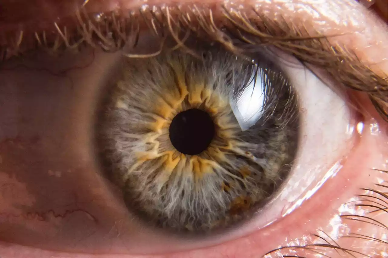 Incredible Potential: A New Way To Prevent Common Causes of Vision Loss