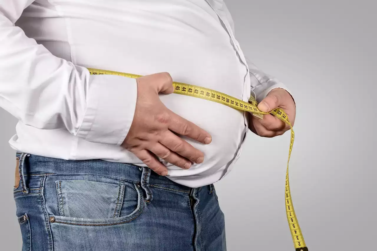 Scientists Reveal New Molecular Associations With Obesity