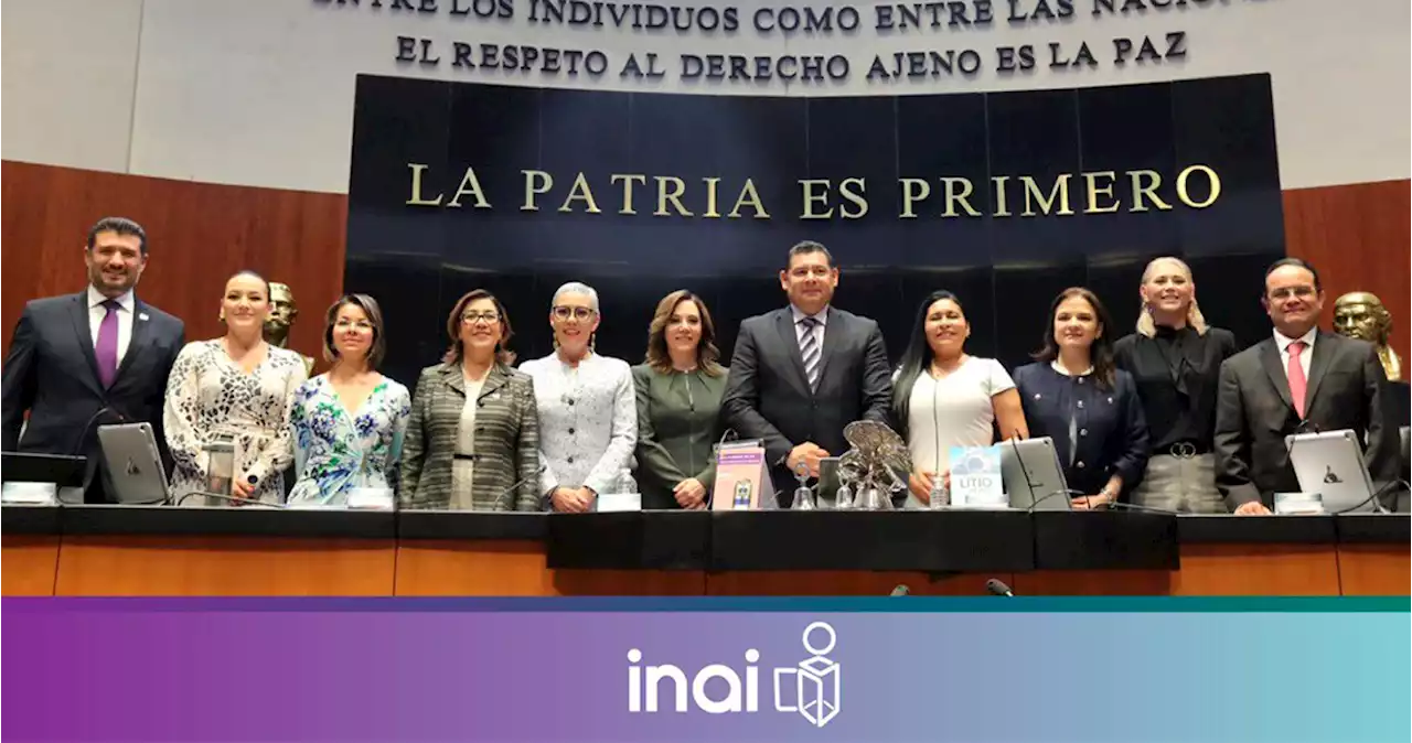 INAI entrega informe al Senado; pide no imposibilitar sus funciones de transparencia