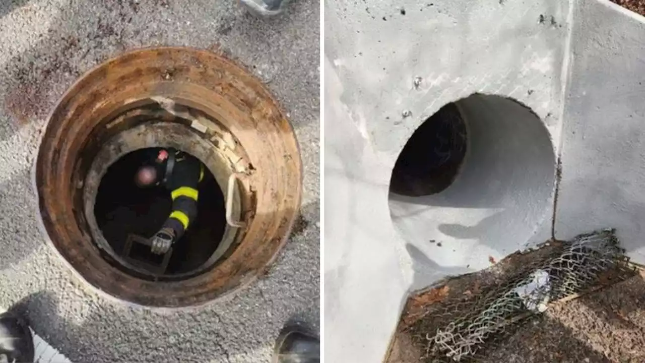 Young boys rescued from New York sewer system after crawling through tunnel were told to 'scream as loud as they could'