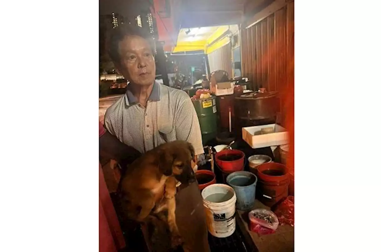 Senior citizen lodges police report against MBPJ dog catchers