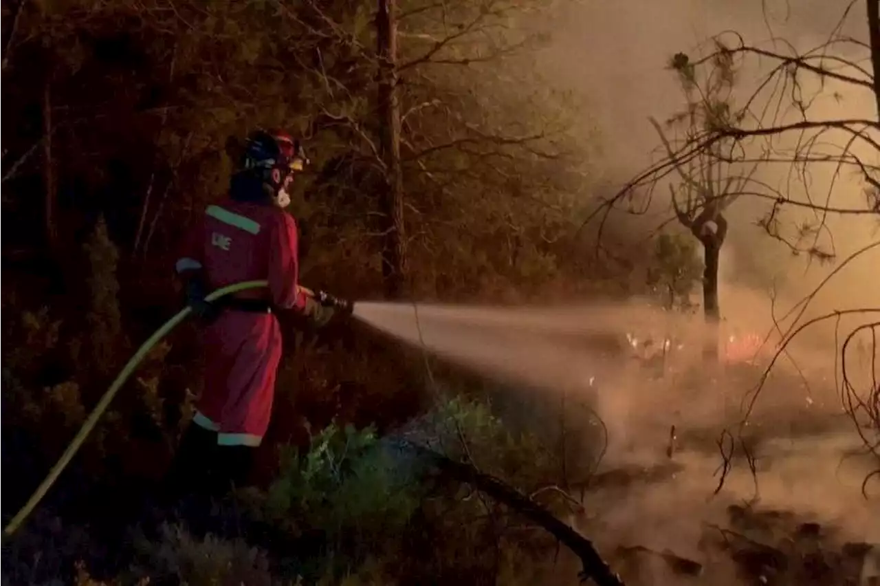 1,500 people flee as first major wildfire of the year destroys 3,000 hectares of forest in Spain