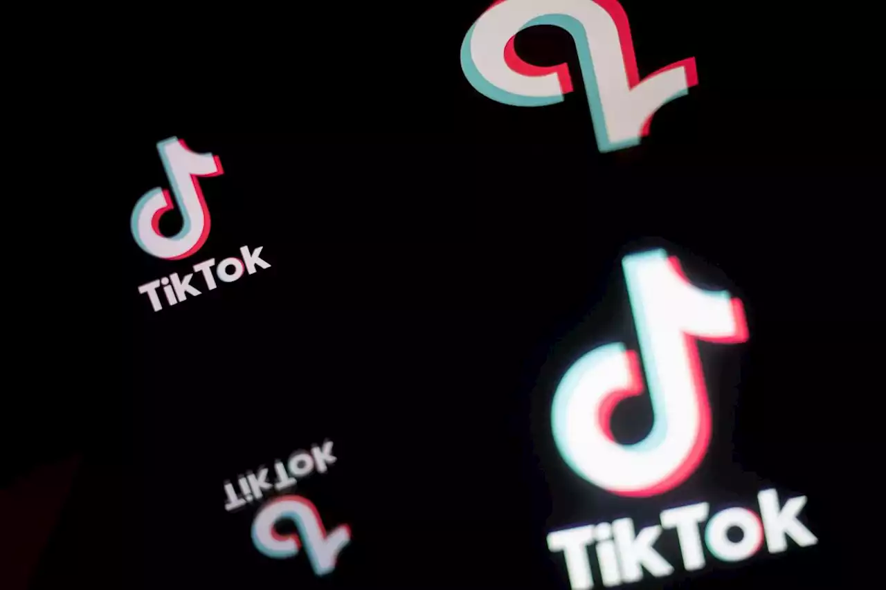 TikTok et les applications « récréatives » interdites sur les téléphones des fonctionnaires en France