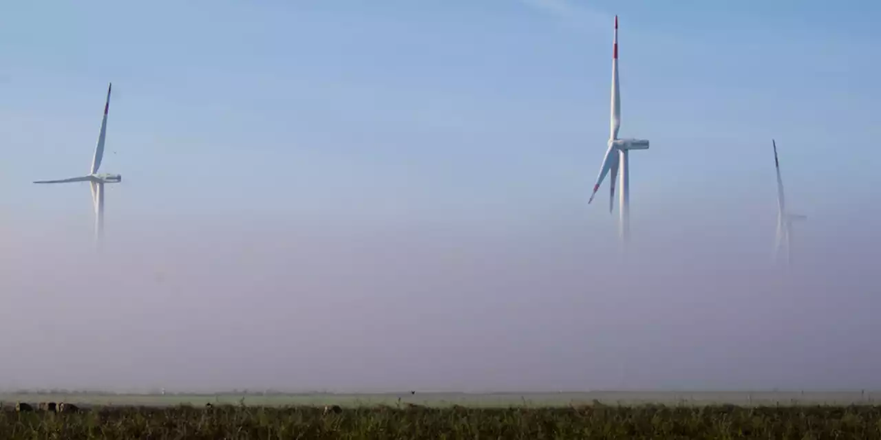 Energiewende in Schleswig-Holstein: Gericht kippt Kieler Windkraftpläne