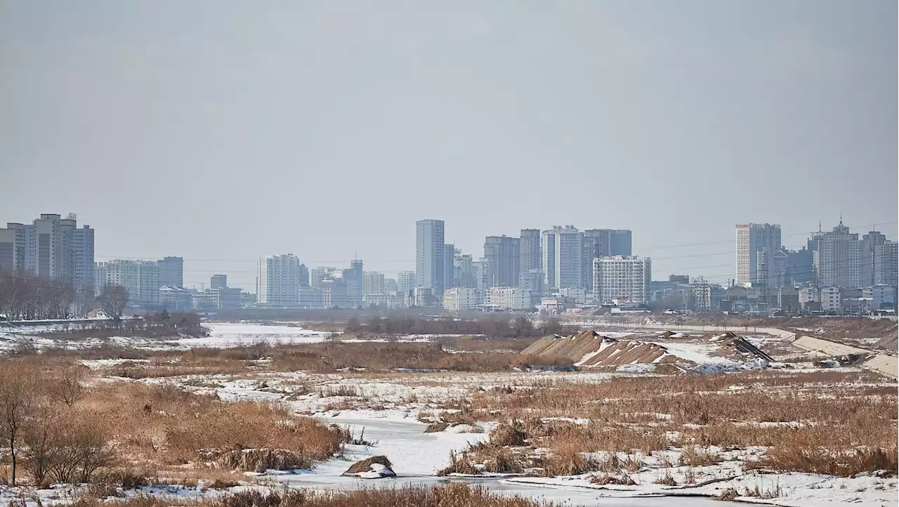 'The real-life Handmaid's Tale': The North Korean women and girls trafficked in China