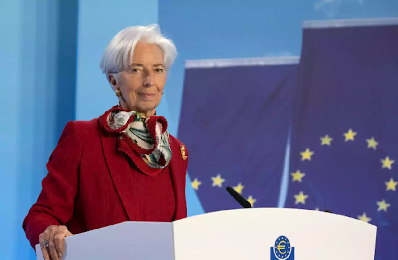 EU leaders insist eurozone banking sector is stable as shares plunge