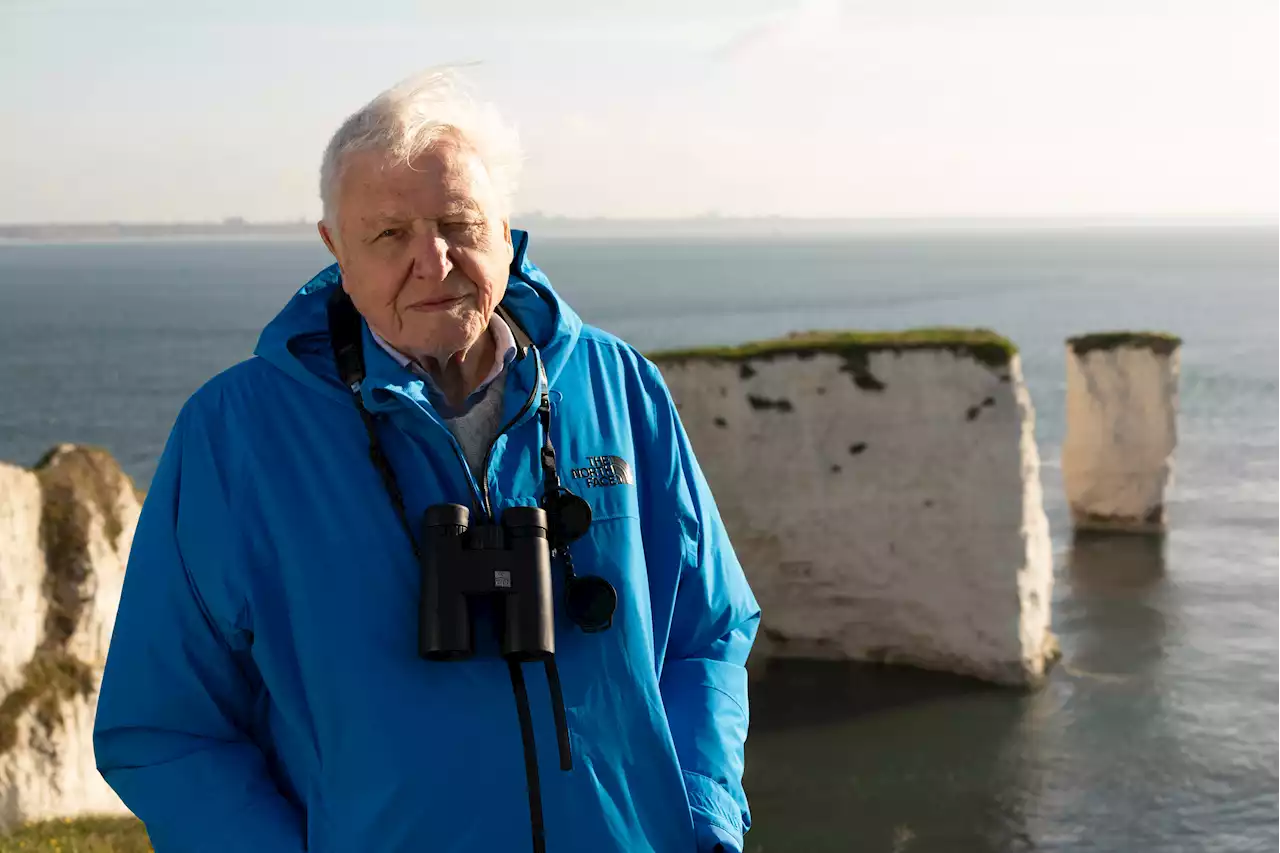 New Attenborough TV show shocks viewers with no holds barred animal sex scenes