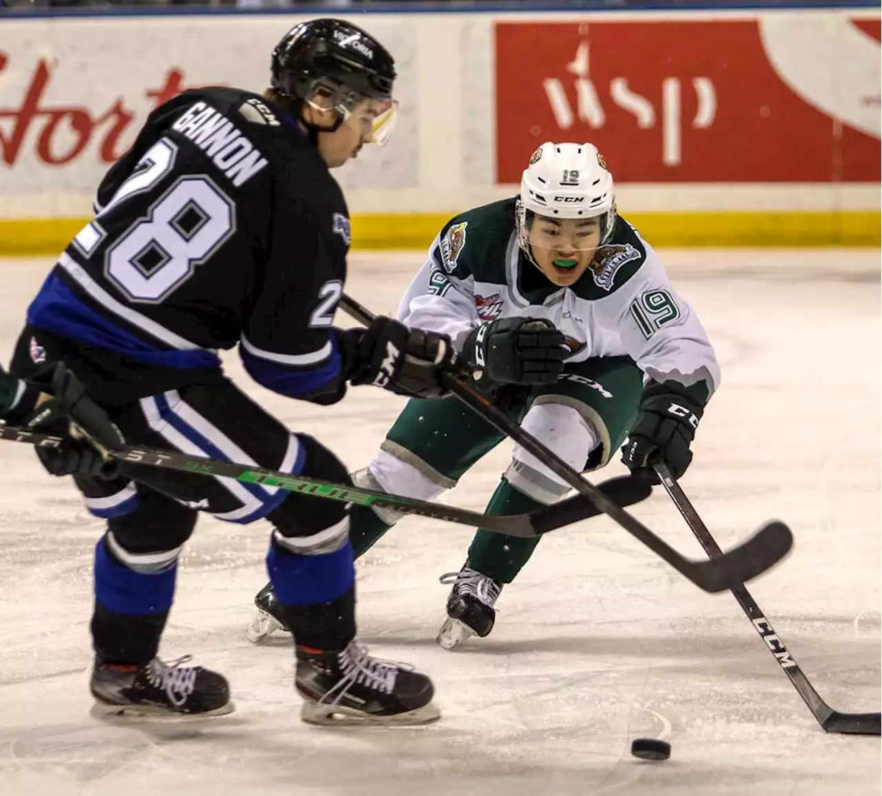 Victoria Royals close out another lost season with focus on WHL draft lottery