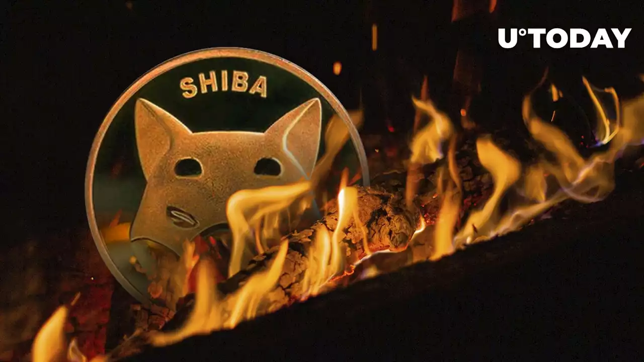 Millions of Shiba Inu (SHIB) Burned in Last 24 Hours as This Metric Also Spikes