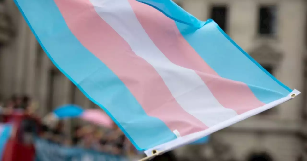 Transgender adults more satisfied after transitioning