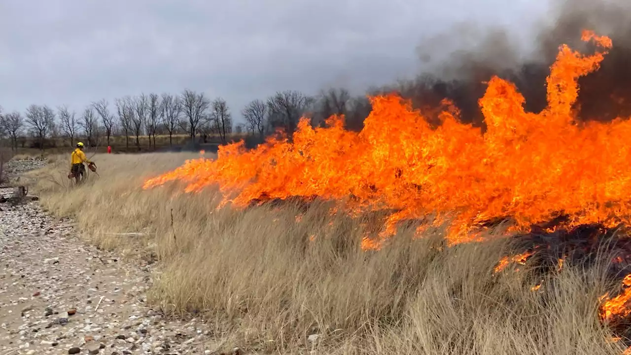 Chicago Parks Are on Fire, and That’s a Good Thing