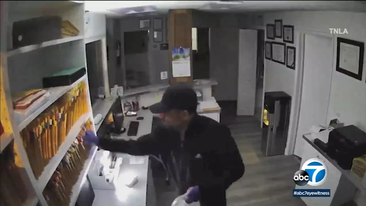 Video shows man stealing stacks of medical records from Sherman Oaks dental office