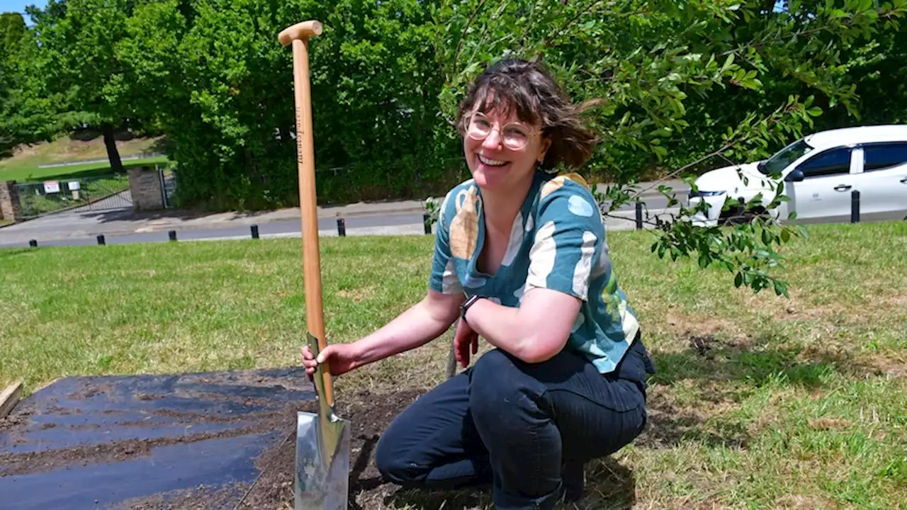 Would you swap parking spaces for more trees on your street? These residents did