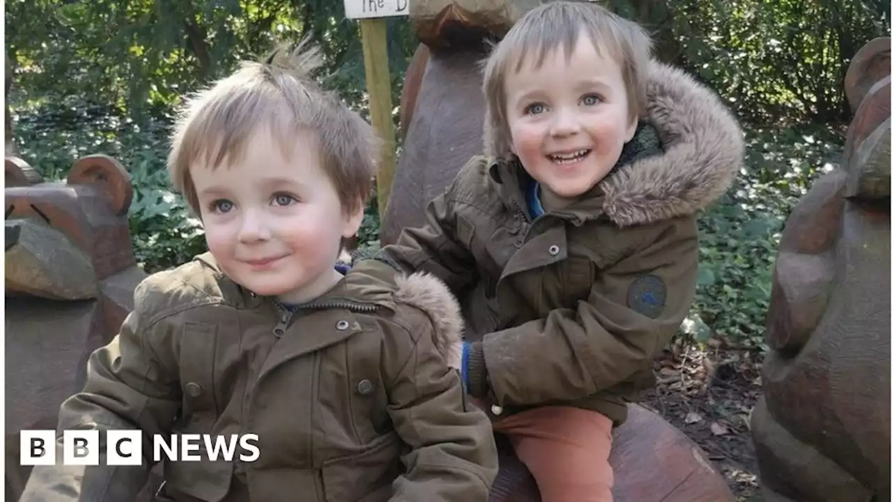 York parents of autistic twins face dilemma as one boy given special school place